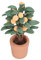 Fdit Miniatur-Bonsai-Orangenbaum, Tolle Foto-Requisite, Tonkeramik, Heimdekoration, Mini-Orangenbaum für Romantische Stimmung