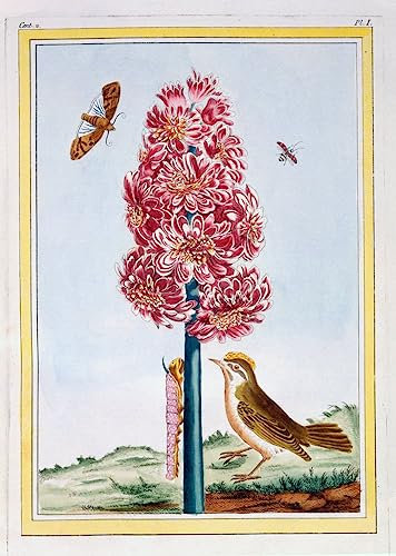 RZHRHJES Ölgemälde Wandbilder Abstrakte Leinwand Kunst Wandkunst Bild Druck Hyazinthe von Pierre Buchoz Kunst Leinwand Poster für Wanddekoration 60x90cm