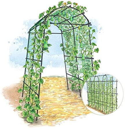 Treillis de jardin en métal pour plantes grimpantes - Cadre de support léger pour arche - 180 x 210 cm - Idéal pour la vigne, les légumes et les courges - Décoration de jardin en plein air