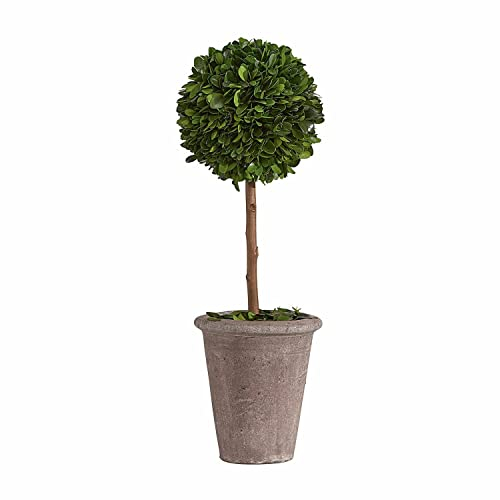 LOBERON® Deko-Baum Aube, Buchsbaum, Weide, H/Ø ca. 46/15 cm, Outdoor, Gartendekoration, grün