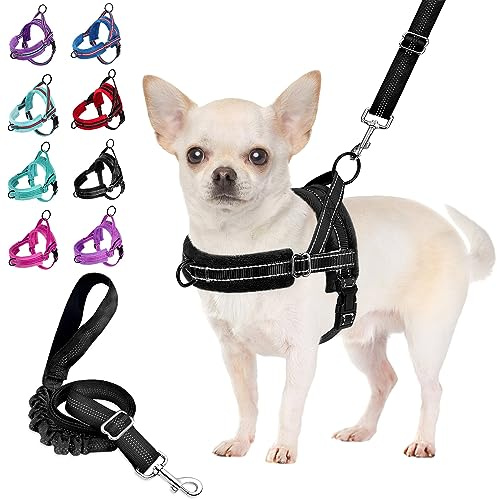 Eyein Small Dog Harness and Lead Set, No Pull Soft Vest with Front Clip | Anti Pull, Soft Padded No Choke, Neck Chest Adjustable, Reflective, Easy for Walk for Small Puppy Cat Kitten (Black, S)