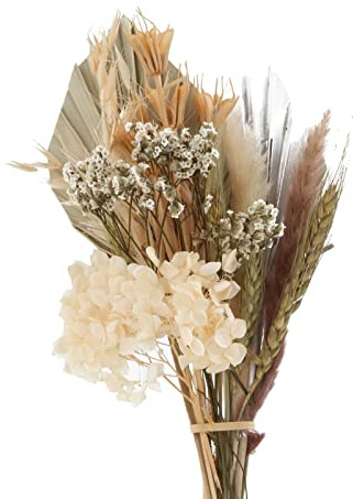 MagiDeal Arreglos de Hojas de Palma de Hierba Seca Grande, Decoración para Tarta, Flor para Decoración de Boda, Decoración del Hogar, Sala de Estar, F, marrón, Individual