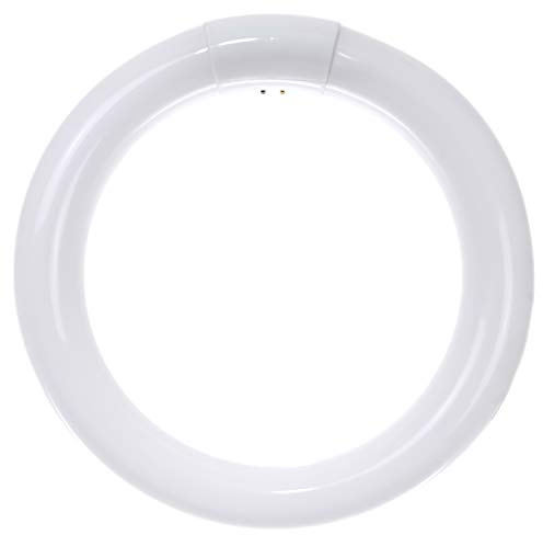 Sunlite 41314 FC8T9/DL 8-Inch T9 Round Fluorescent Circline Lamp, 22 Watts, 1050 Lumens, 6500K Daylight, G10Q 4-Pin Base, 1 Pack
