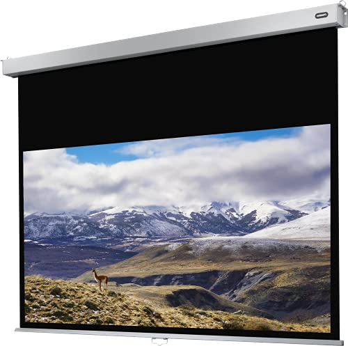 celexon Professional Plus Rollo-Leinwand 110 | 240x135 cm 16:9 | manuell ausziehbare 4K, Full-HD Beamer-Leinwand für Büro-Präsentationen & Heimkino-Projektionen | Wand- & Deckenmontage