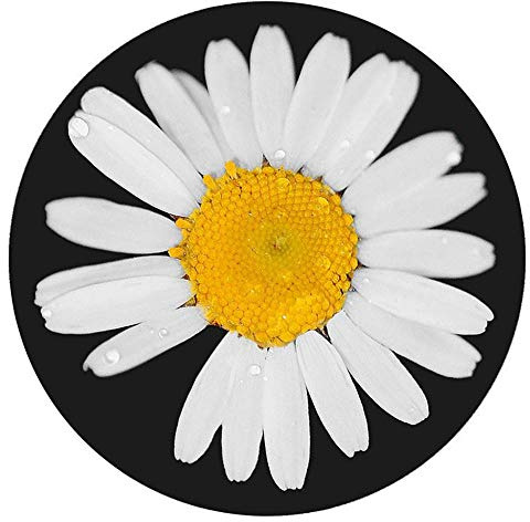 Yaaxinb Kinderteppich Wei? Schwarz Gelb Kreativit?t Teppich Kinderzimmer Wohnzimmer Schlafzimmer Designbereich Teppiche 60cm 80cm 100cm 120cm Durchmesser-120cm