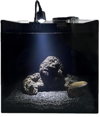 CSYQPDMBDL Kugelaquarium, Goldfischglas, Fischglas, quadratisch, Glasaquarium mit Zubehör