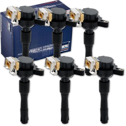 6x Beru Zündspule ZS302 | 0040100302 / ZS302 passend für 3er E36 E46 5er E39 7er E38 X5 E53 Z3