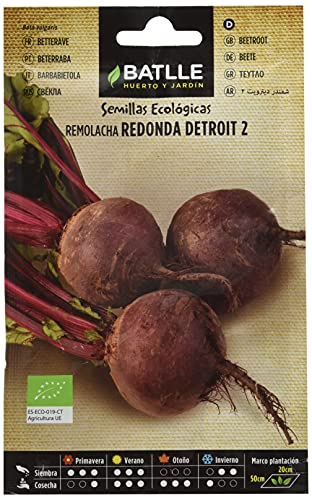 Graines Bio de Batlle - Betterave Detroit 2 (2,5g)