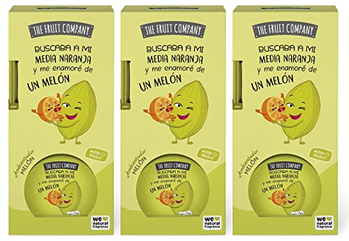 The Fruit Company - Ambientador Mikado Melón 40 ml. Difusor de varillas perfumadas. (3 ud.)