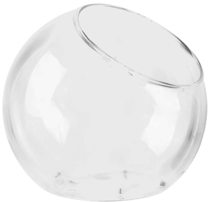 Terrario in - Vaso in Bocca inclinata per Mini Paesaggio | Contenitore in Terrario per Pesce Trasparente, serbatoio di Supporto per Aria per Succulente, Schiuma, Caglie