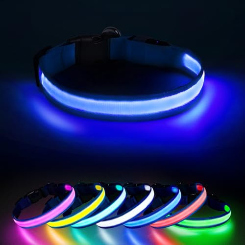 Jewyow Leuchtend Halsband,Hundehalsband Leuchtend, 7 Farbmodi | Wiederaufladbares USB-C LED Halsband mit Wasserdicht für Kleine,Mittlere,Große Hunde-Blau-S