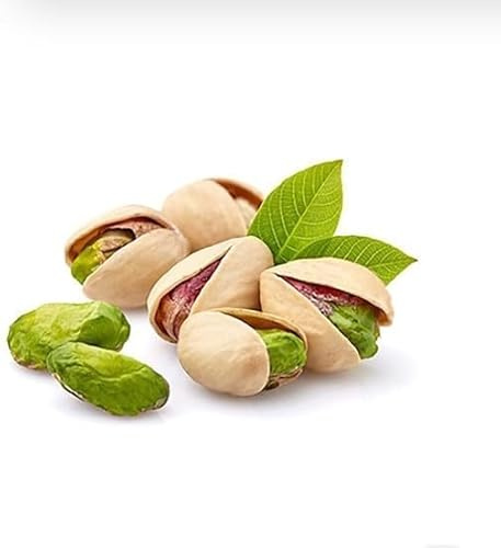 Semi di Pistacchio, Pistacia Vera, Confezione da 4/5 Semi, Non OGM, Ricchi di Vitamine, pistachio plant seeds