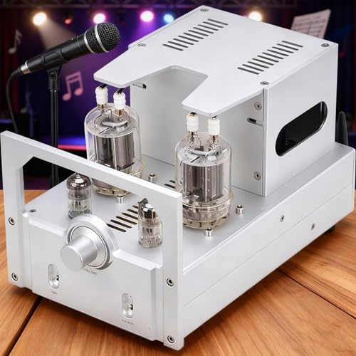 Integrated Amplifier, 10W X 2 Home Audio Stereo Power Amp with Bluetooth Function for HiFi Bookshelf and Floorstanding Speakers
