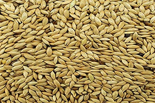 Alpiste Alpiste Vogelfutter für Vögel, 25 kg