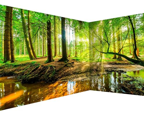 murando Photo Wallpaper Forest Landscape 550x250 cm / 216 x 98 | Non-Woven Premium Corner Art Print Fleece Wall Mural Decoration Poster Picture Design Wallpaper Modern, Nature Tree
