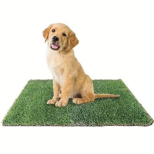 PratoErboso GreenZolla - L' Originale Lettiera per Cani in Erba Vera Naturale, Traversina 100% Naturale, Cuccia per Gatti in Vero Prato, Zona Gioco e Relax per Animali Misura Maxi