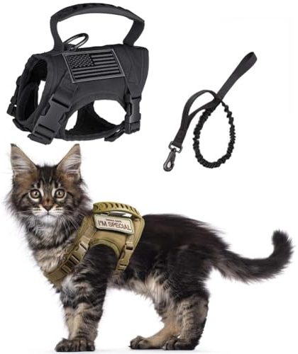 Taktisches Katzengeschirr und Leine, ausbruchsicher, verstellbar, für Spaziergänge, kleine Hunde, mit Patches, weiche Netzpolsterung und Gummigriff für einfache Kontrolle, Schwarz