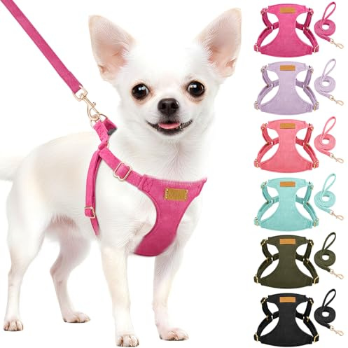 Eyein Hundegeschirr Kleine Hunde mit Leine, Leichtgewicht | Atmungsaktiv Anti Zug Welpengeschirr, Verstellbarer Step-in Geschirr für extra kleine/kleine mittelgroße Hunde (Magenta, S)