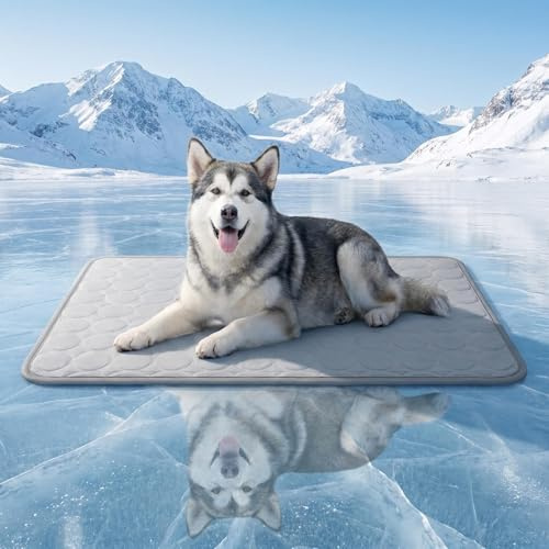 Chesomn Manta Refrescante para Perros, Cama Refrescante Perro | Manta Refrescante para Gatos No Tóxicas Pet Cooling Mat para Perros Pequeños, Medianos y Grandes (L 70 x B 55 x H 1 cm)