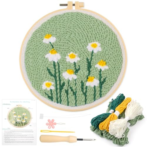 Punch Needle Ricamo Starter Kit, Kit Ricamo per Principianti per Ricami