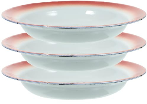 Luxshiny Lot de 3 Assiettes Vintage en Émail Fer 22 CM, Plats de Service Épais à Motif Floral, pour Fruits Secs et Présentation la Cuisine Style Aléatoire