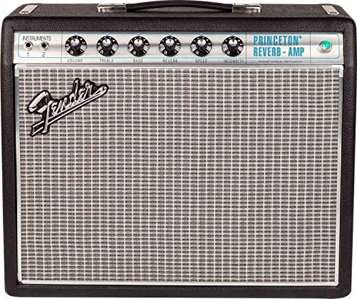 Fender 68 Amplificatore Riverbero Princeton personalizzato