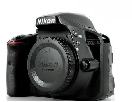 Nikon D3300 Digitalkamera Reflex 24,2 Megapixel