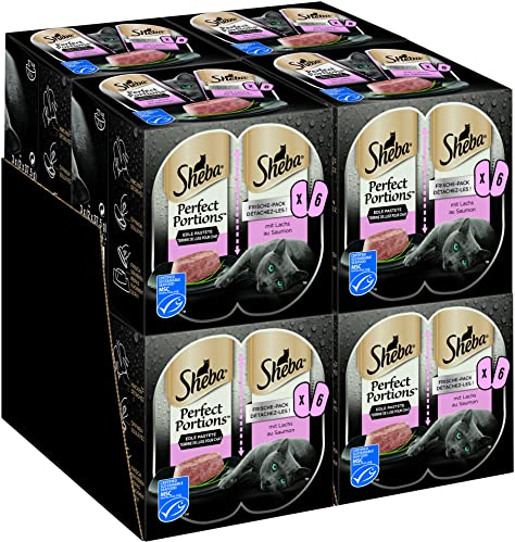 Sheba Perfect Portions Katzennassfutter – Hochwertiges Feuchtfutter für Katzen in 48 Schalen – Edle Pasteten mit Lachs (MSC) – Katzenfutter – 8er Pack (8 x 6 Schalen à 37,5g)