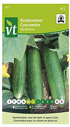 Concombre Marketmore Bio Graines - Fruits d’environ 20 cm de longueur