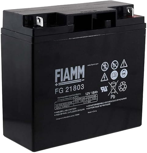 Fiamm FG21803 12 V 18 Ah batteria al piombo/AGM piombo non tessuto