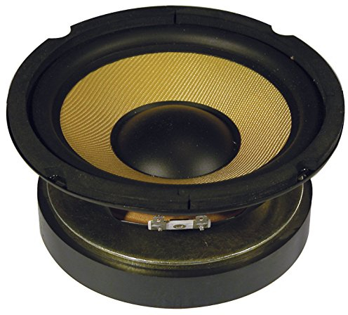 High Powered Woofer With Aramid Fibre Cone | 6.5 Driver, 8 Ohms, 250W