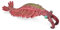 Collecta -Anomalocaris - Figura Coleccionable - Tamaño L - (Deqube 90188977)