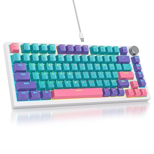 SbocKeeb Tastiera meccanica con guarnizione al 75%, tastiera RGB meccanica cablata personalizzata TKL al 75% sostituibile a caldo con cuscinetti fonoassorbenti, QWERTY americana programmabile