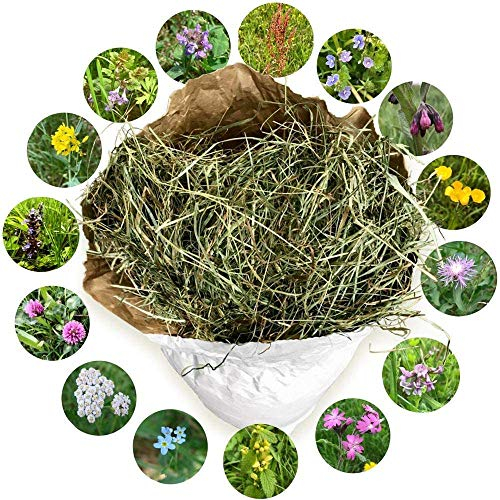 NATURHEU 1. Schnitt. Heu als Kleintier-Futter für Kaninchen Hasen Hamster Nager & Kleintiere aus größter Heumilch-Region Europas in Österreich~ 1 kg lose im ÖKO-Papiersack