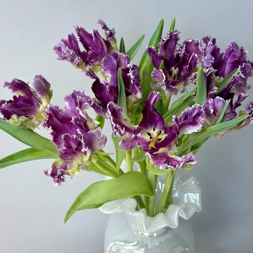 20zwiebeln blumenzwiebeln tulpen, winterharte kübelpflanzen, balkon herbstpflanzen blühend frühlingsblumen
