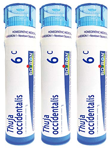 Boiron Thuja Occidentalis 6C Homeopathic Medicine for Warts - Pack of 3 (240 Pellets)