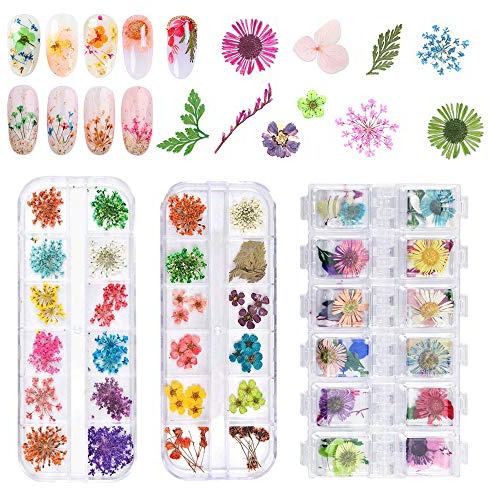 EMAGEREN 3 Pcs Fleur Séchée Ongle Deco Ongle Gel Printemps Fleurs Séchées Naturelles Colorée 18 * 13 * 1,2 cm pour Art Ongles Papeterie Invitations de Mariage Enveloppes Chandeliers Savon Scrapbookin