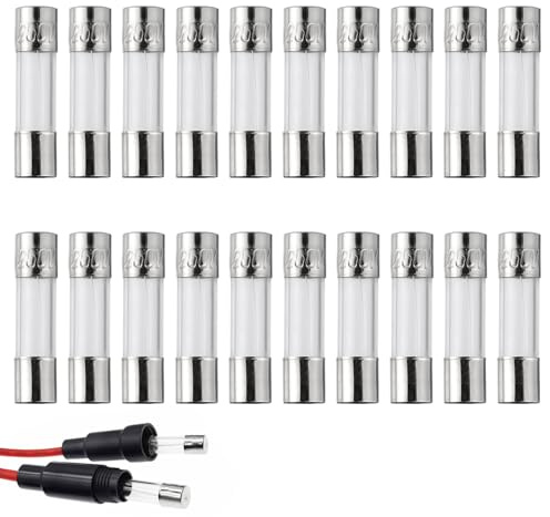 20 Pezzi Fusibili 10A 250V, Fusibile Rapido 5x20mm F10AL250V per Circuiti Elettrici, Fusibile in Vetro Soffiato, Protezione Sovraccarico Sovracorrente, Fusibili per Elettrodomestici Sistemi Sicurezza