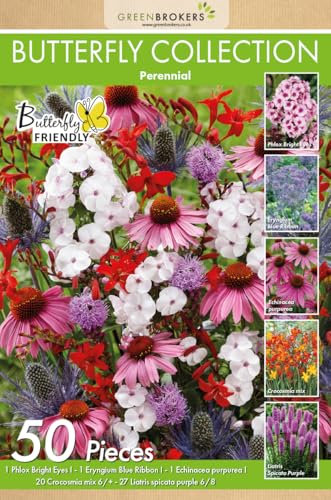 50 Butterfly Perennial Summer Bulb Collection | Mixed Bulb Varieties | Eco Packaging | Plant Now Ready to Bloom in Summer