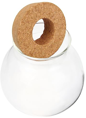 CLISPEED Vaso Idroponico Vetro Trasparente per Piante Decorazione da Tavolo Elegante e Compatta per Fioriere e Propagazione Ambienti Interni come Soggiorno e Ufficio