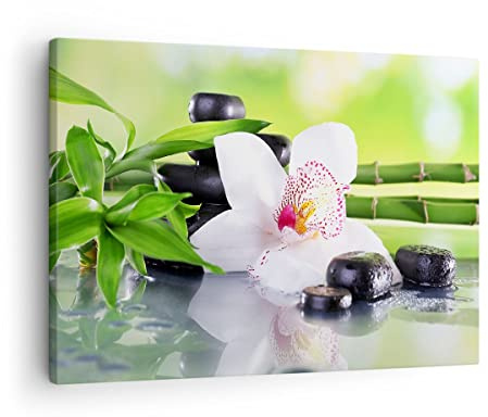 ARTTOR Bilder auf Leinwand 70x50cm Wandbild Botanik Blumen - 3659 | Blume Orchidee Klein Wanddekoration Wohnzimmer Schlafzimmer Küche Wanddeko Wand Kunstdruck Wandkunst Wall Decor ARTTOR