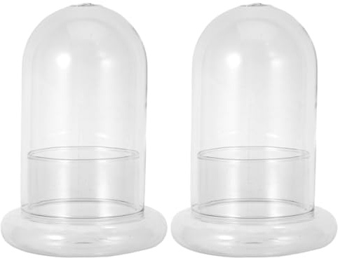 HEMOTON Mikrolandschaftsflasche Glas Terrarium Ökologische Flasche Für DIY Flaschengarten Pflanzenterrarien Und Mikrolandschaft 2 Stück 6.69 X 4.72 X 4.72 in