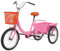 HANGKAI 3 Räder Fahrrad 18 Zoll Dreirad-Fahrrad mit Einkaufskorb Kapazität des Hinteren Korbes 50kg Dreiräder für Erwachsene Tragfähigkeit 150kg (Rosa)
