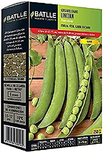 Semi Batlle – pisello odoroso