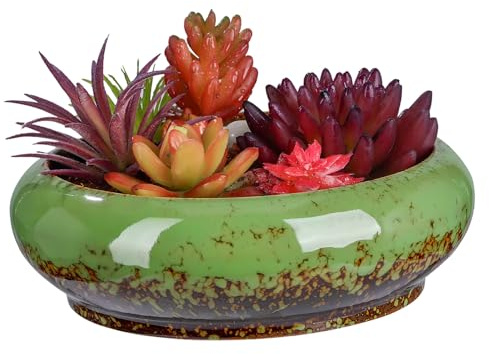 TOYANDONA Maceta De Cerámica Redonda para Bonsái Profunda De Escritorio con Drenaje para Plantas Suculentas y Cactus Pequeños