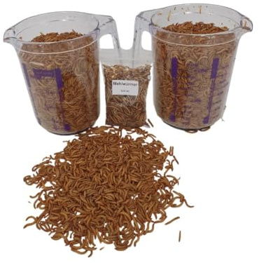 Lebende Mehlwürmer – Hochwertiges Protein-Futter für Igel, Reptilien, Hühner und Vögel – Literware für gesunde Ernährung und natürliches Fressverhalten! + 125 ml getrocknete Mehlwürmer (2 x 1 Liter)