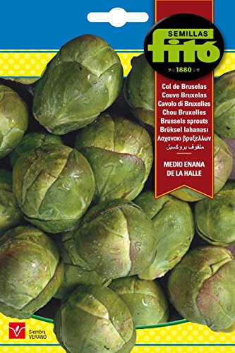 Semillas Fitó 56 - Semillas de Col de Bruselas Medio Enana de la Halle