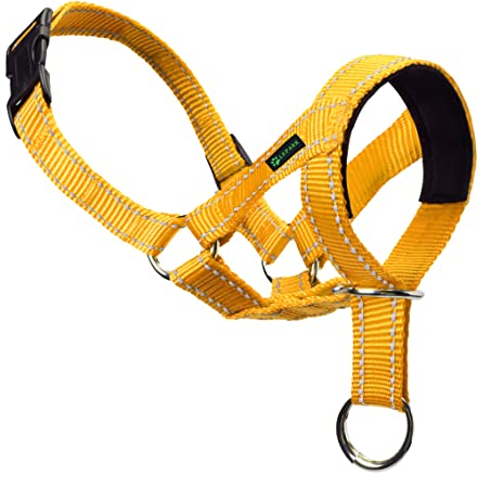 ILEPARK Hundehalfter fürs Training - buntes Kopfgeschirr für Hunde, um das Ziehen zu stoppen - verstellbares und leicht zu bedienender Kopfhalfter (S,Gelb)