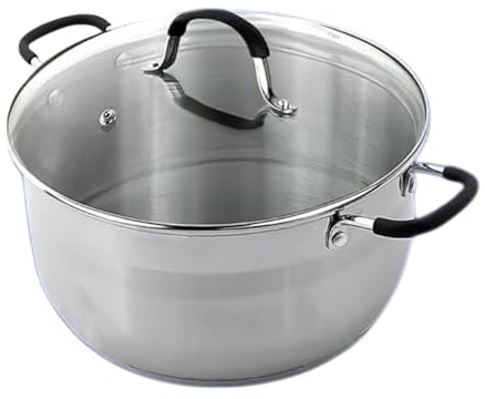 Reldor Stainless Steel Stock Pot with Glass Lid – 28cm Cooking Pot with Silicone Handles, Frying Saucepan Casserole Dish– Kitchen Cookware, Induction Compatible, Dishwasher Safe