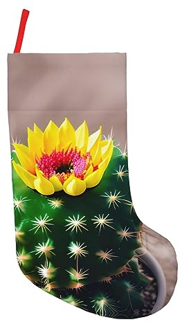 SSIMOO Chaussettes de Noël en forme de cactus en fleurs - Décoration festive ultime, meilleure décoration de vacances